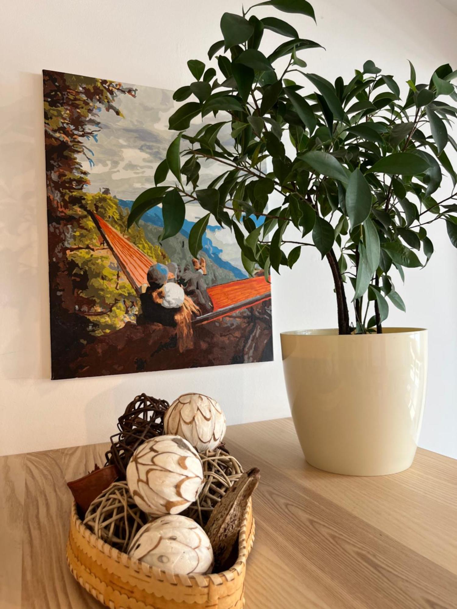 Feelhome Apartment With Kitchen คราคูฟ ภายนอก รูปภาพ
